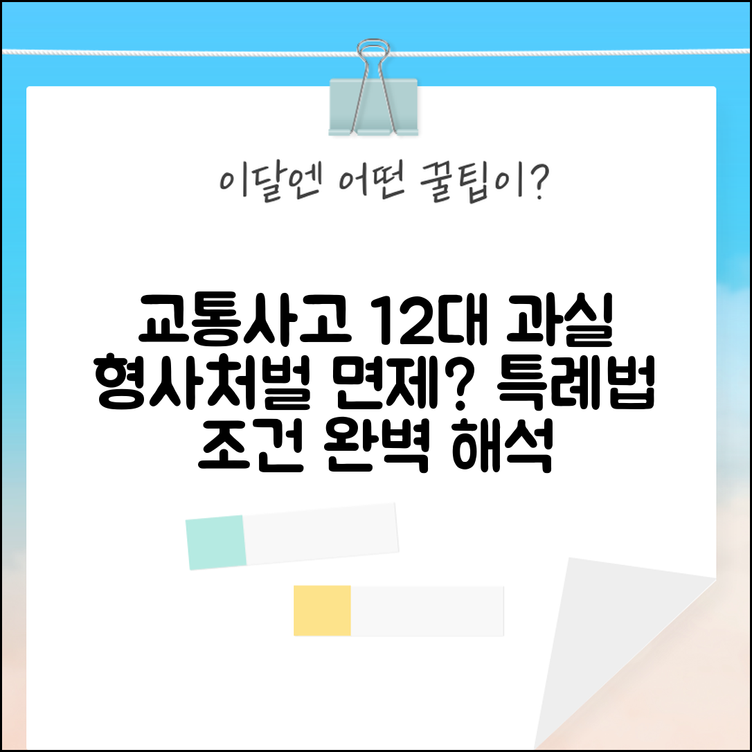 교통사고 12대 중과실 형사처벌 면제 특례법 조건 완벽 해석