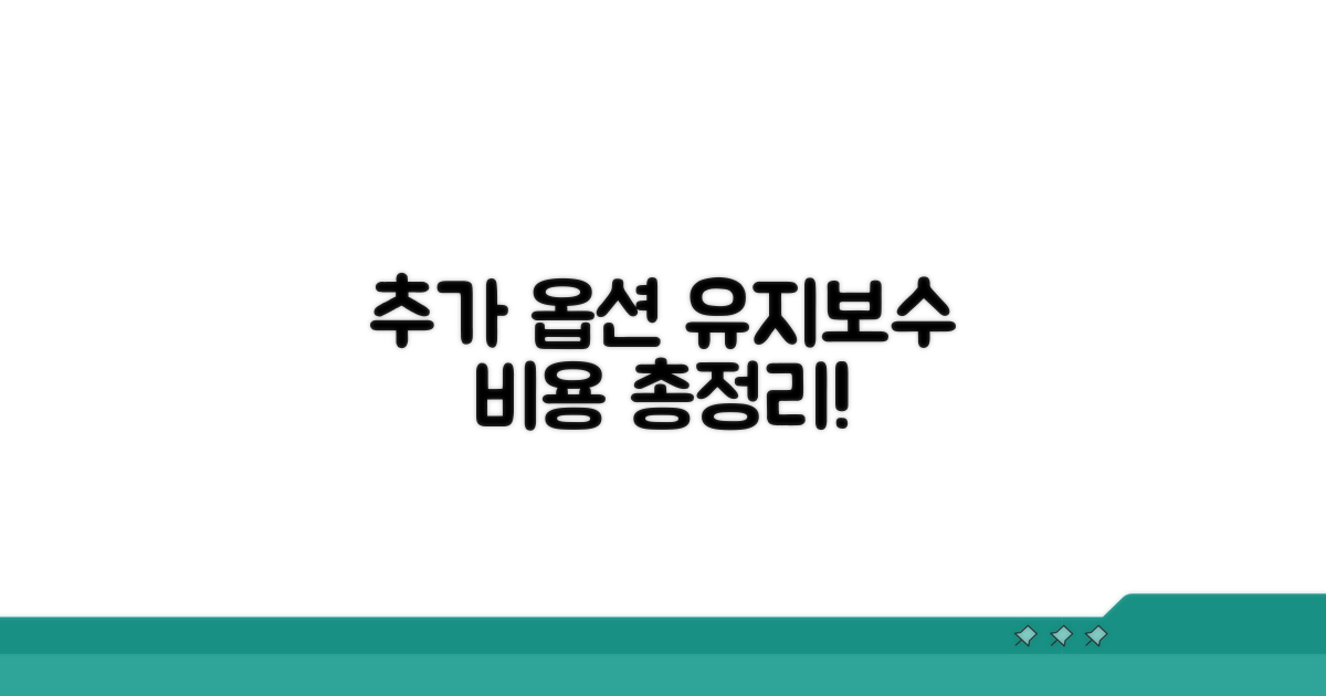 추가 옵션 및 유지 보수 비용
