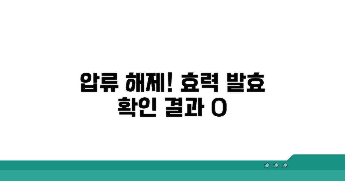 압류해제 효력 발효 확인