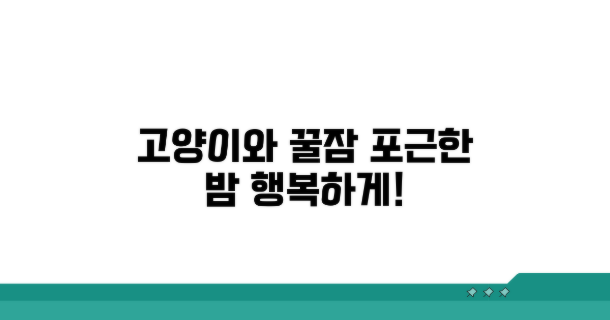 고양이와 함께 행복한 밤 만들기
