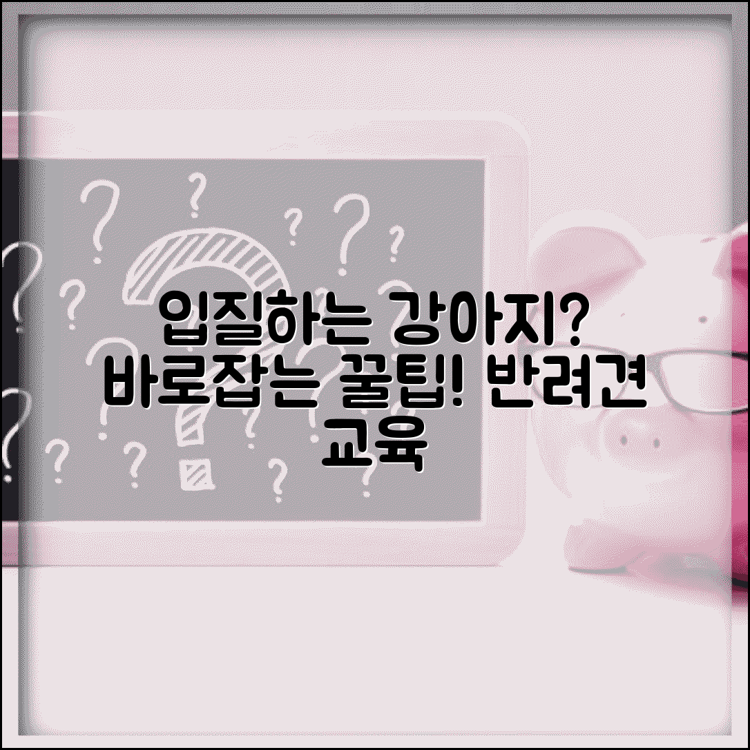 강아지 입질 어떻게 교정해야 하나요 | 강아지 입질 | 무는 행동 | 교육