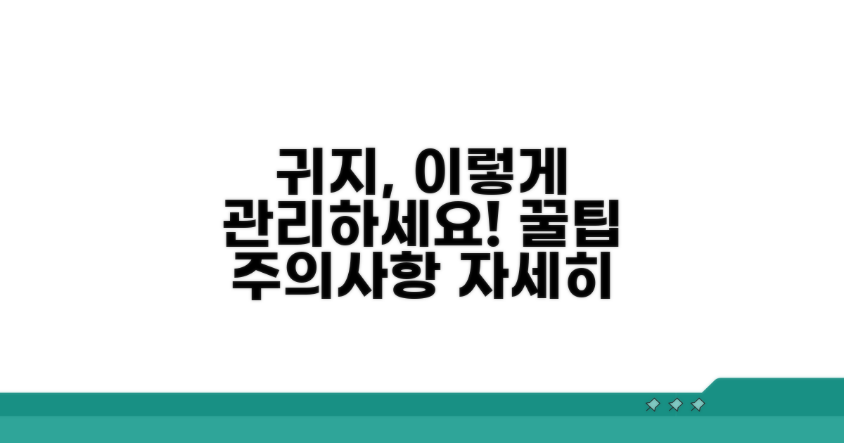 귀지 관리 꿀팁과 주의사항