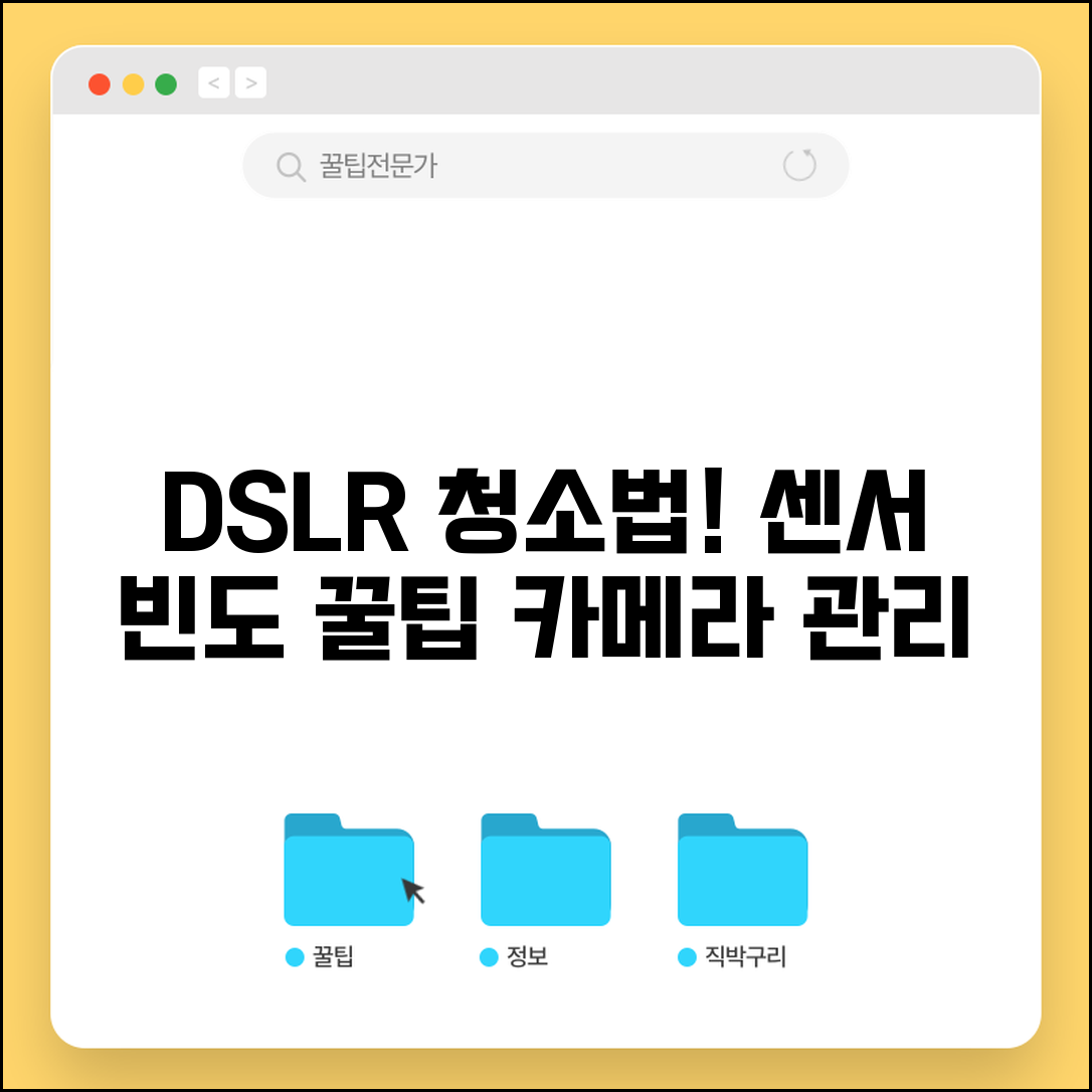 DSLR 카메라 청소 주기 방법 | 카메라 센서 청소 빈도
