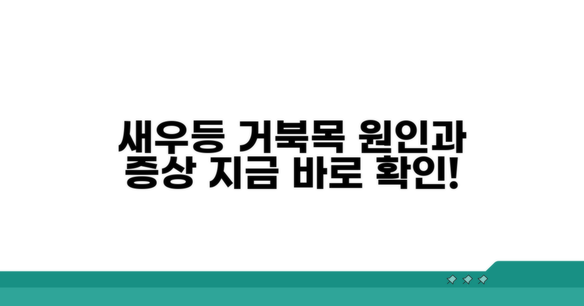 새우등 거북목 이유와 증상