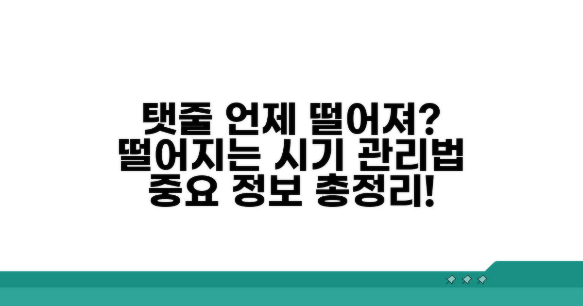 탯줄 떨어지는 시기와 관리법