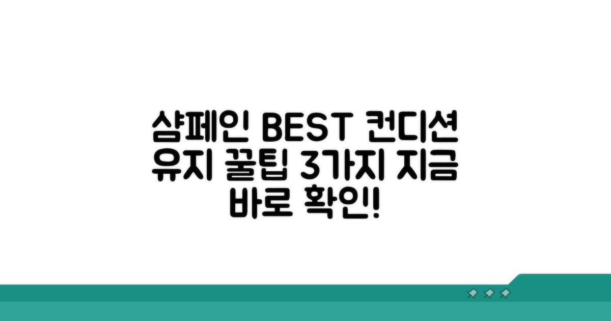 최적의 샴페인 컨디션 유지 팁